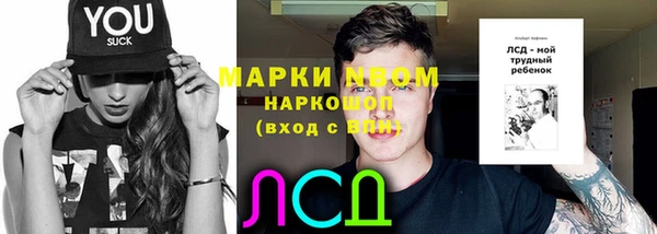 дурь Майский