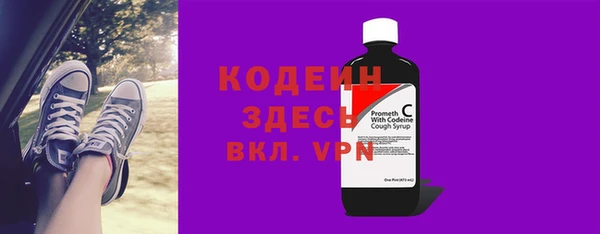 дживик Анжеро-Судженск