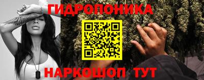 мяу мяу мука Краснознаменск