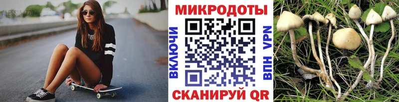 Галлюциногенные грибы Psilocybine cubensis  kraken вход  Усть-Джегута 