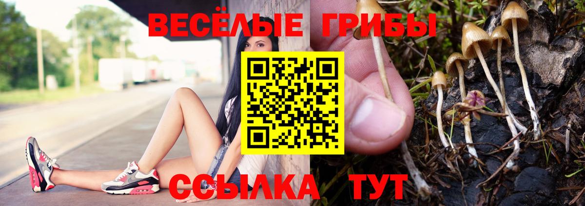 Псилоцибиновые грибы Magic Shrooms Усть-Джегута